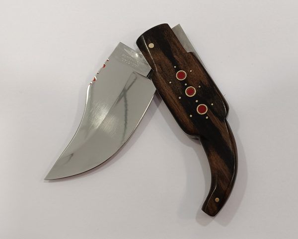 Navaja capaora o lengua de vaca - Imagen 4