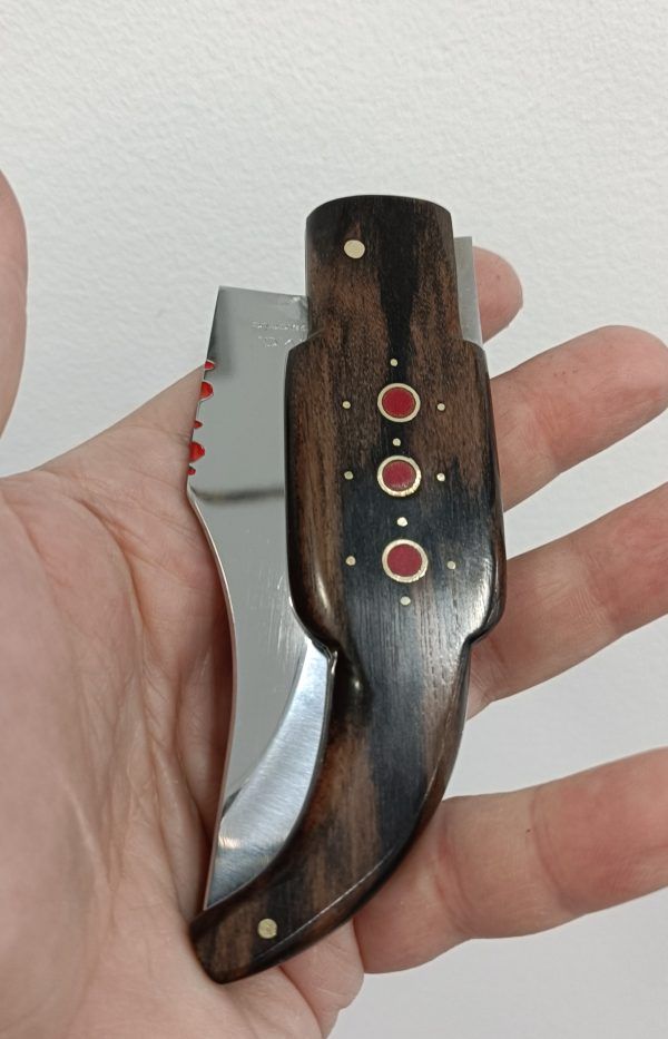 Navaja capaora o lengua de vaca - Imagen 3