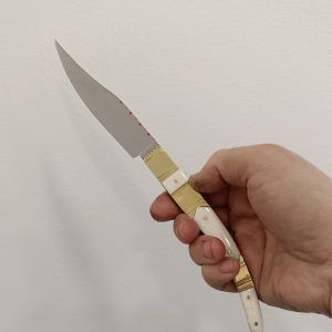 Alternative view of navaja de espejillos