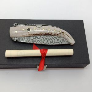 IMG20241211181817 - a la venta en cuchilleria online