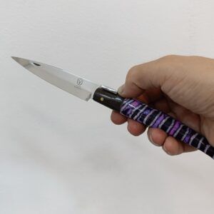 IMG20250828111527 - a la venta en cuchilleria online